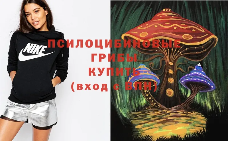 Псилоцибиновые грибы Magic Shrooms  Уфа 